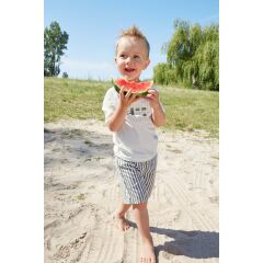 L&auml;ssig - Windelbadehose Kinder - UV Schutz Shorts - Stripes Olive