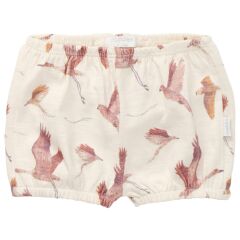 Noppies Baby - Shorts Angeles, allover print - Antique White