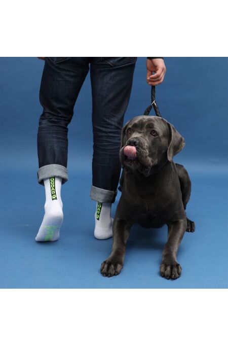 My Day My Dream - Dog Dad Neon Socken