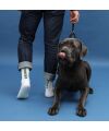My Day My Dream - Dog Dad Neon Socken