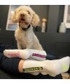 My Day My Dream - Dog Dad Neon Socken