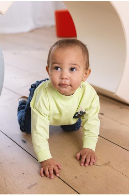 Noppies Baby - Sweater Grasse - Shadow Lime