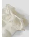 LilAtelier - Söckchen mit Rüschen - Coconut Milk