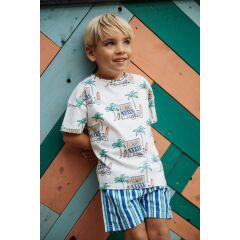 Stains & Stories - boys t-shirt short sleeve Cloud