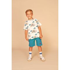 Stains & Stories - boys t-shirt short sleeve Cloud