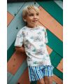 Stains & Stories - boys t-shirt short sleeve Cloud
