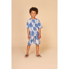 Stains & Stories - boys t-shirt short sleeve Royal